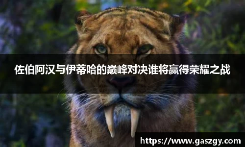 佐伯阿汉与伊蒂哈的巅峰对决谁将赢得荣耀之战